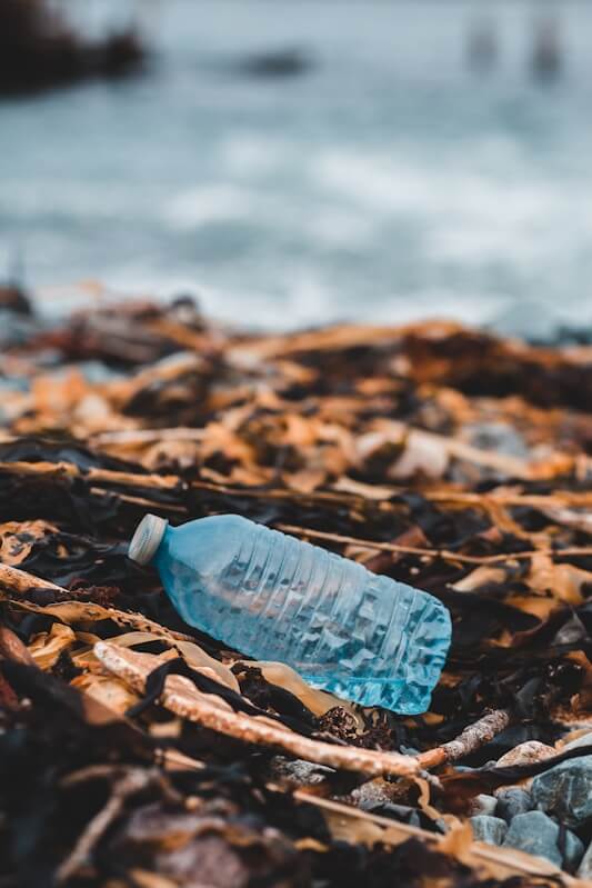 Plastic bottle lying on a seaweed bed
